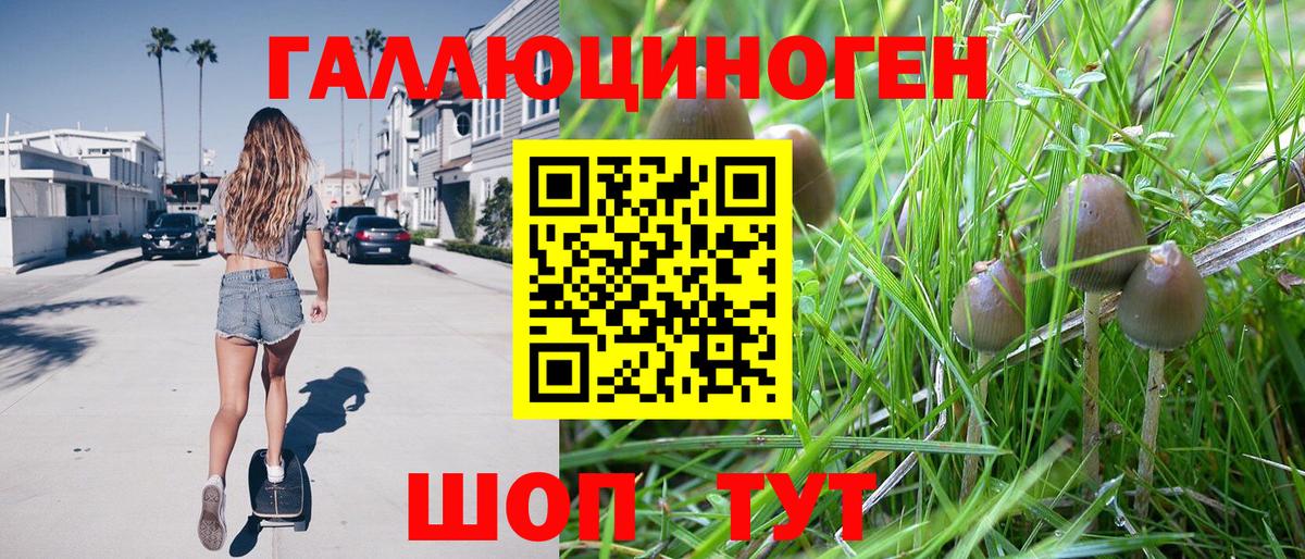 Псилоцибиновые грибы Psilocybe Сатка