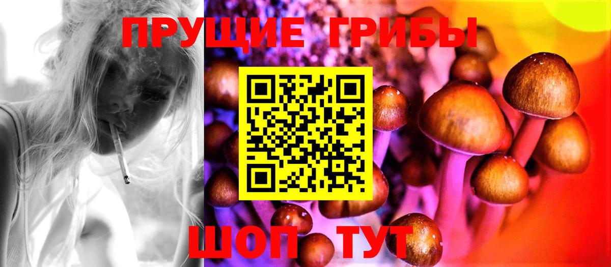 Псилоцибиновые грибы GOLDEN TEACHER  Галлюциногенные грибы MAGIC MUSHROOMS  Сатка  Вход с VPN 